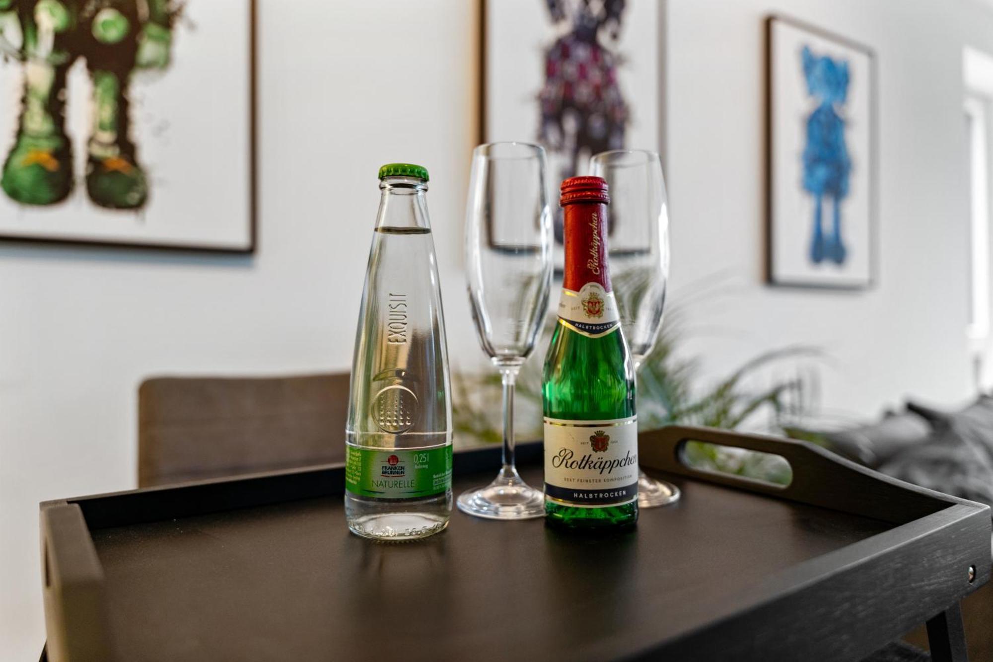 Modern Style Business Suite - Office - Kitchen - Balcony Herzogenaurach Exteriér fotografie
